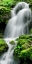 Picture of EXQUISITE CASCADE