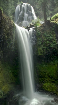 Picture of TRANSCENT FALLS