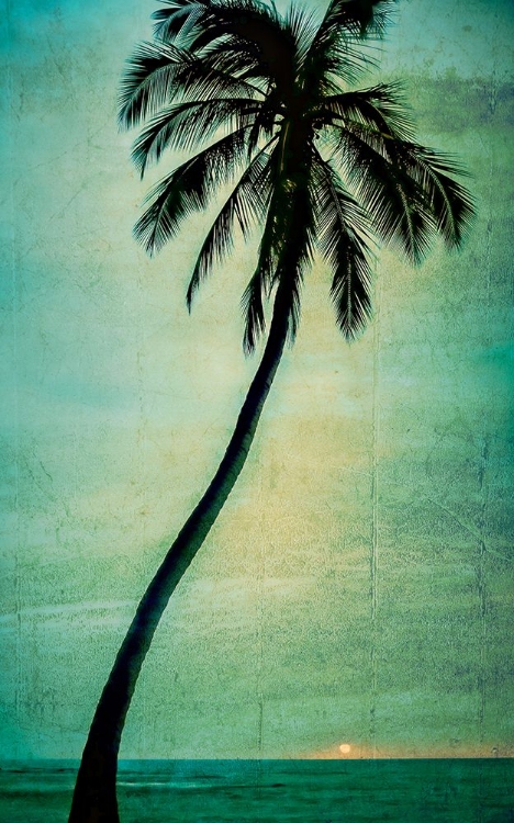 Picture of LONE PALM