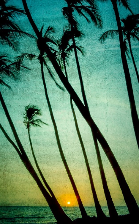 Picture of TILTING PALMS