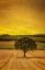 Picture of LONE TREE AT SUNSET
