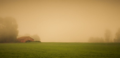 Picture of RED BARN IN THE FOG
