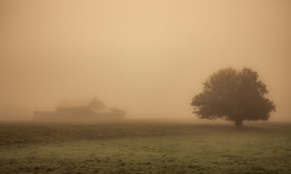 Picture of FOGGY BARN