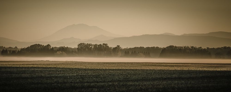 Picture of SAUVIE ISLAND SERENITY