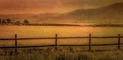 Picture of YAMPA VALLEY MORNING