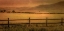 Picture of YAMPA VALLEY MORNING