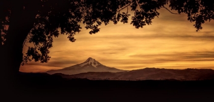 Picture of MT. HOOD AT SUNSET