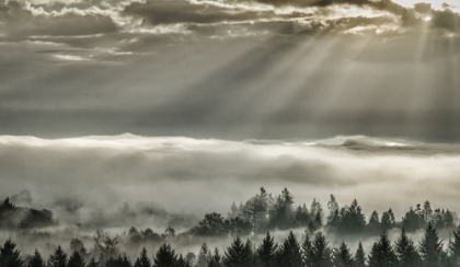 Picture of SLANTING RAYS