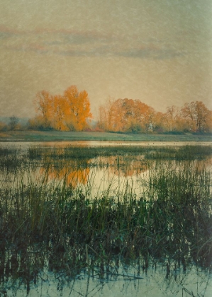 Picture of AUTUMN WETLANDS