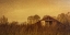 Picture of BARN SMOTHERED BY TALL GRASSES