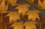 Picture of COLLECTION OF LEAVES