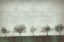 Picture of SINGLE FILE
