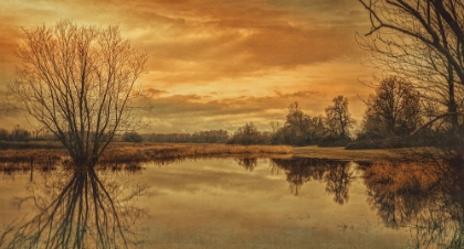 Picture of WINTER POND