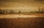 Picture of LITTLE BARN ACROSS THE POND