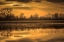 Picture of MORNING UNFOLDS