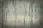 Picture of REEDS