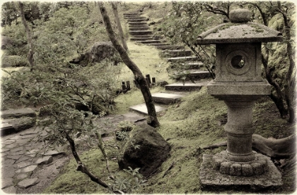 Picture of LANTERN ALONG THE PATH