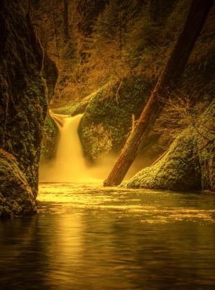 Picture of PUNCHBOWL FALLS