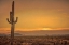 Picture of CACTUS SUNRISE