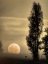 Picture of DAYBREAK ON A COUNTRY ROAD