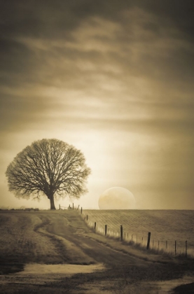 Picture of DOWN THE WINDING PATH