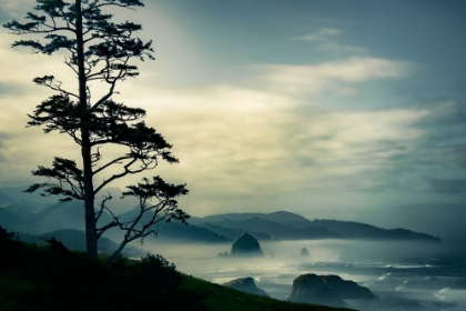 Picture of BEYOND THE TREE AT THE OVERLOOK