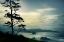Picture of BEYOND THE TREE AT THE OVERLOOK