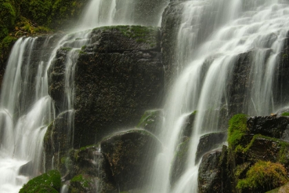 Picture of CASCADING FALLS