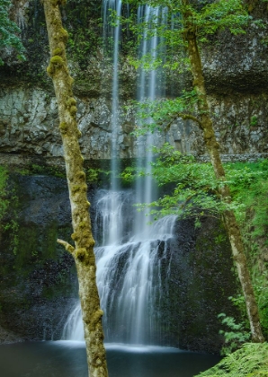 Picture of LOWER SOUTH FALLS