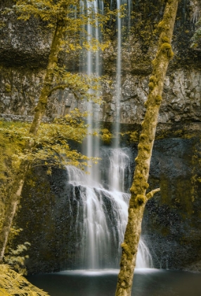 Picture of LOWER SOUTH FALLS GOLDEN