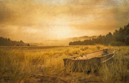 Picture of ROWBOAT IN THE DUNE GRASSES