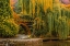Picture of WILLOWS OVER THE POND