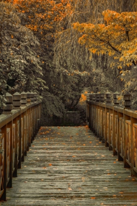 Picture of ACROSS THE BRIDGE