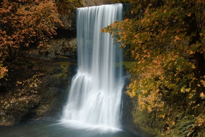 Picture of AUTUMN CASCADE