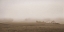 Picture of FOGGY COUNTRY FARM