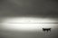 Picture of QUIET MORNING IN THE BAY