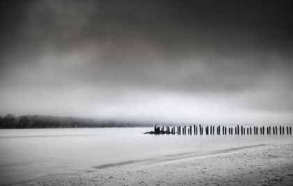 Picture of PILINGS ALONG THE COLUMBIA