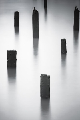 Picture of RIVER PILINGS