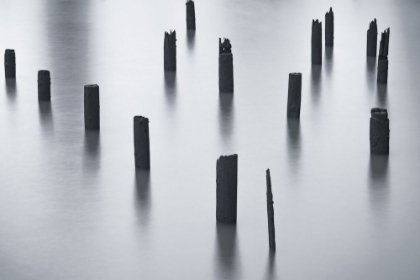 Picture of PILINGS BEFORE DARK
