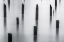 Picture of PILINGS ON THE RIVERS EDGE