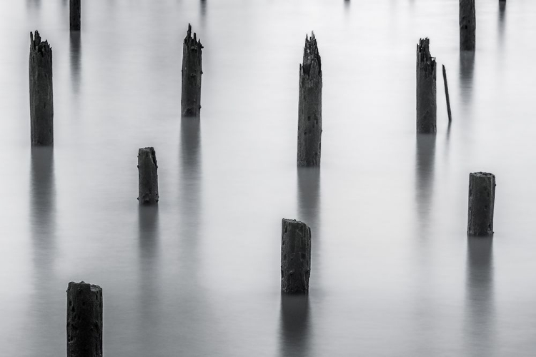 Picture of PILINGS ON THE RIVERS EDGE