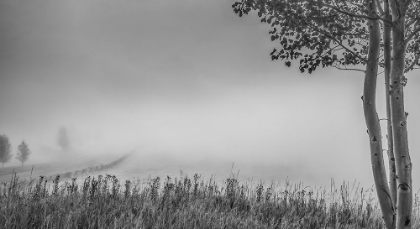 Picture of SUN AND FOG