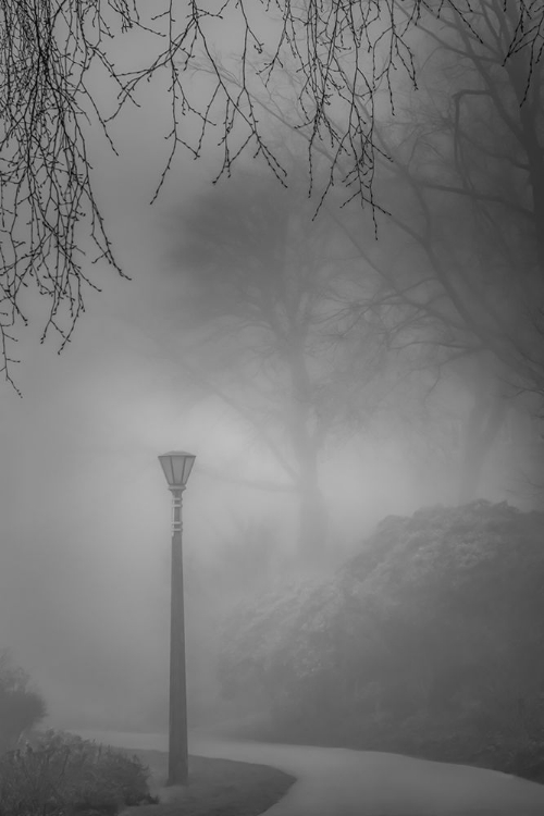 Picture of MISTY PATH