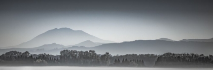 Picture of FOG ON THE VALLEY FLOOR