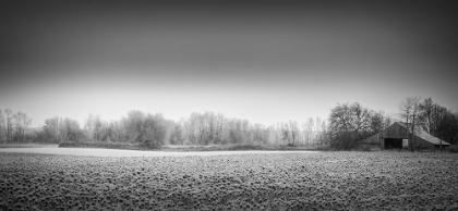 Picture of BARN ON A FROSTY MORNING