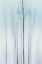 Picture of DELICATE TREES