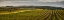 Picture of CROPS