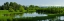 Picture of LUSH SPRING WETLAND