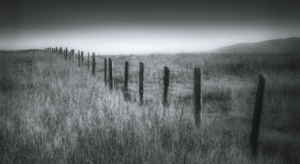 Picture of FENCE LINE