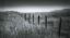 Picture of FENCE LINE